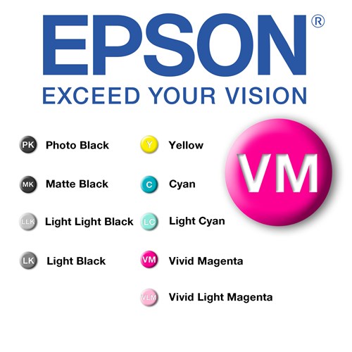Epson VM P800